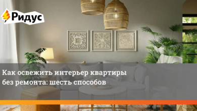 Photo of 7 способов освежить интерьер без ремонта